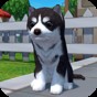 Zoom與動(dòng)物Zoom最新版本