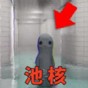 輕松養魚水族館