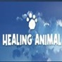 healing game