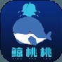 不一樣戰機內購破解版